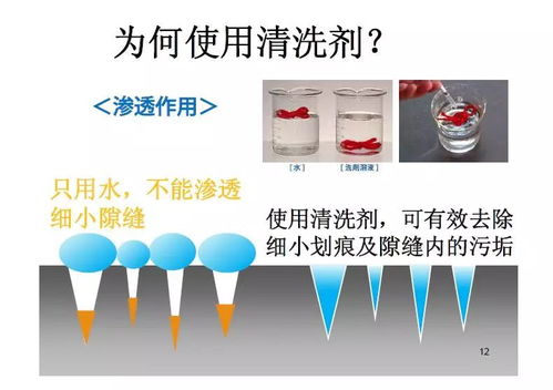 食品工廠清洗的重要性與電子產品互聯網銷售的協同發展